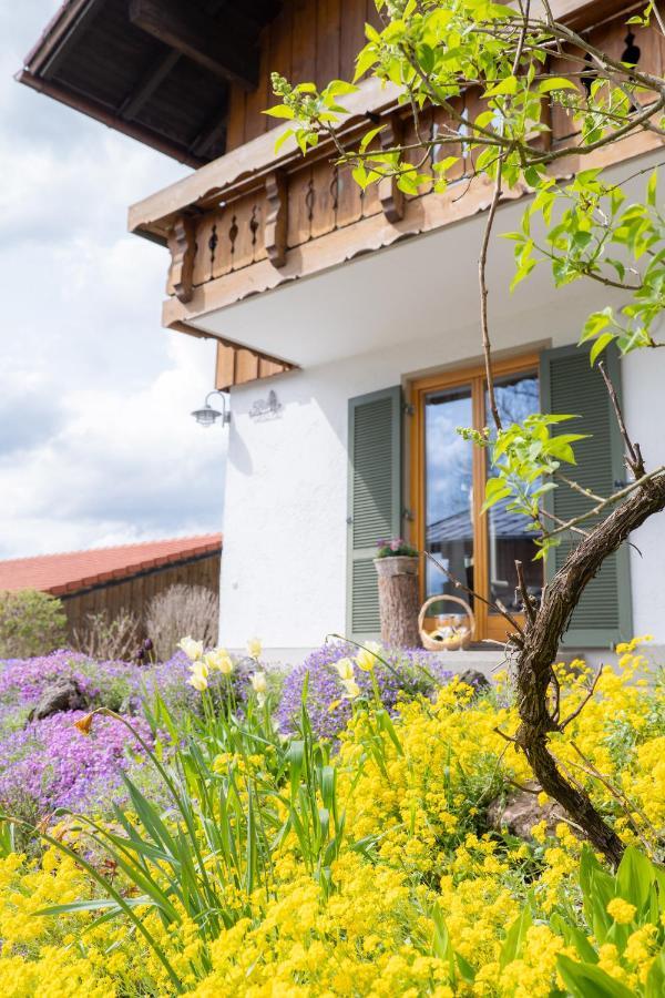 Ferienwohnung Falltannach Sonthofen Esterno foto